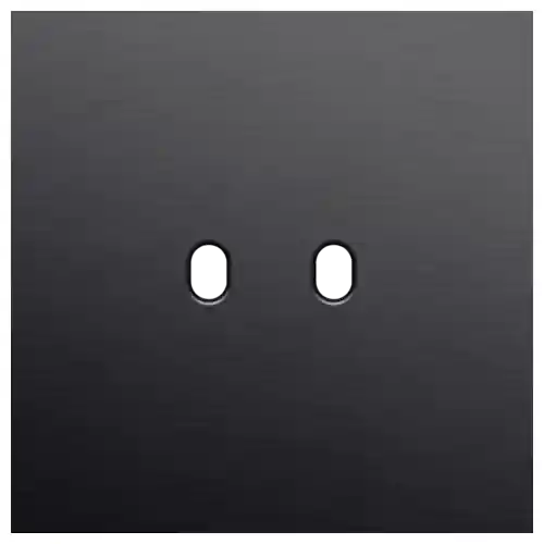 Niko - enkelvoudige afdekplaat - voor tweevoudige schakelfuncties - Toggle - alu black brushed - 224-57102 Alleen Vandaag