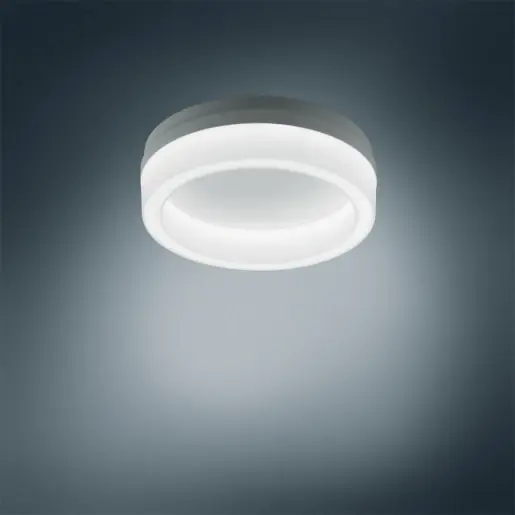 Beperkt Aanbod Trilux Polaroniq LED Armatuur WD1D 840 ETDD 4000K 1050lm Ø263mm DALI-2 DALI Steekklem wit 6333351